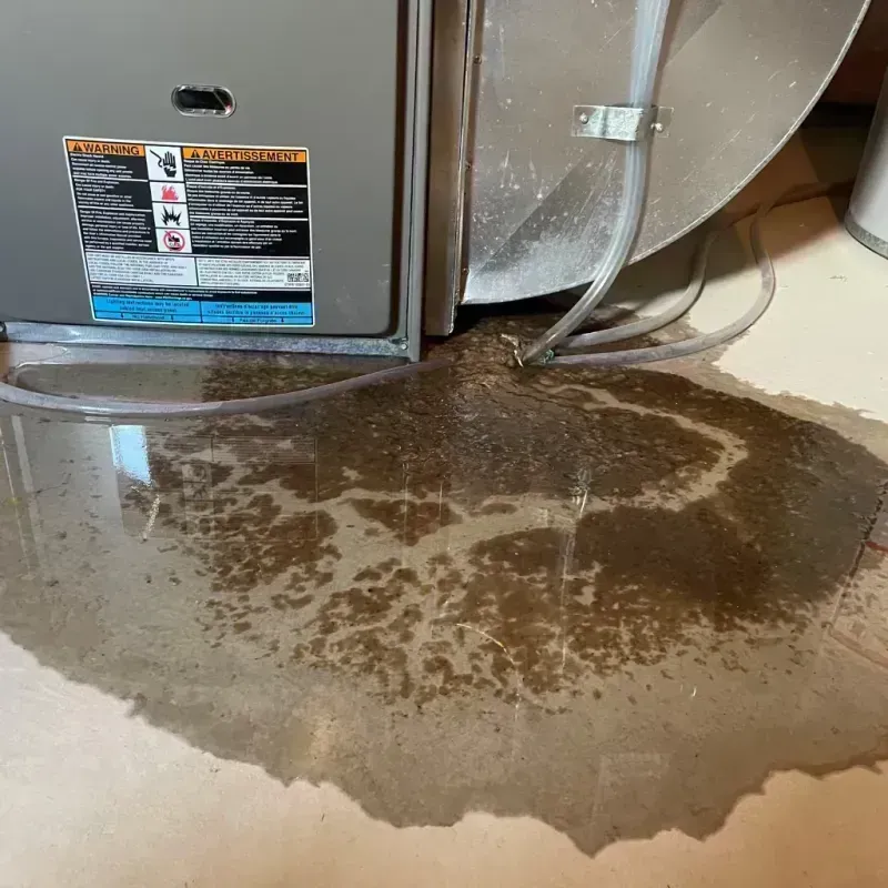 Appliance Leak Cleanup in Jackson, WY